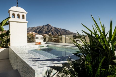 3 bedrooms Penthouse in Thuan Nam, Vietnam No. 27122 14