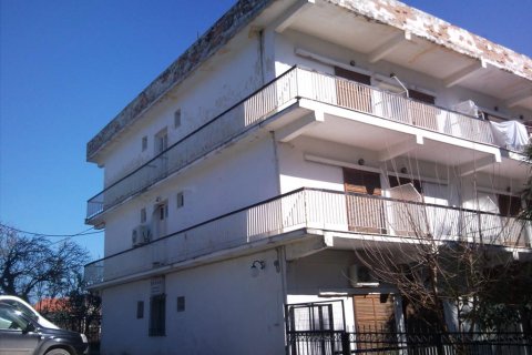 42 rooms Hotel in Kolindros, Greece No. 58495 5