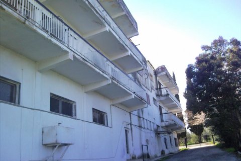42 rooms Hotel in Kolindros, Greece No. 58495 6