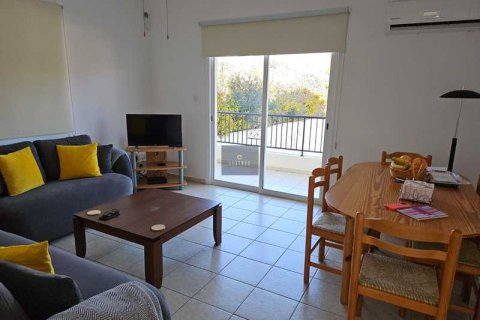 3 bedrooms Villa in Pegeia, Cyprus No. 101706 16