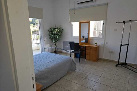 3 bedrooms Villa in Pegeia, Cyprus No. 101706 13