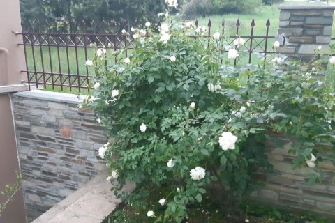 6 chambres House à Vasilika, Greece No. 54381 7