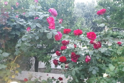 6 chambres House à Vasilika, Greece No. 54381 8