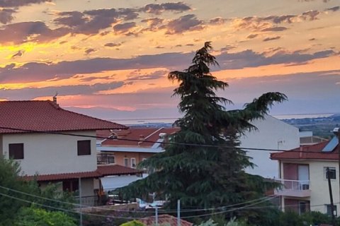 6 chambres House à Vasilika, Greece No. 54381 10