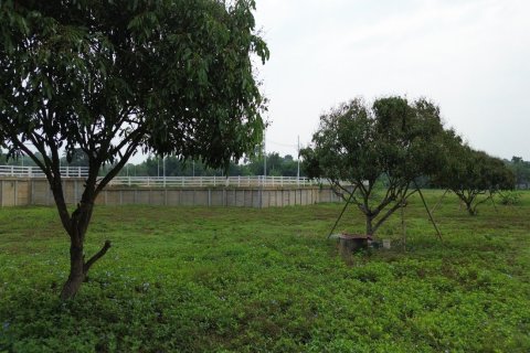 Land en Chiang Mai, Thailand No. 98161 9