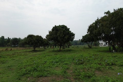 Land en Chiang Mai, Thailand No. 98161 12