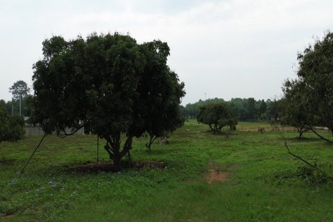 Land en Chiang Mai, Thailand No. 98161 7