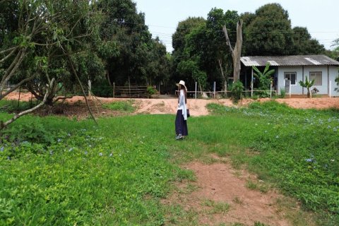 Land en Chiang Mai, Thailand No. 98161 2