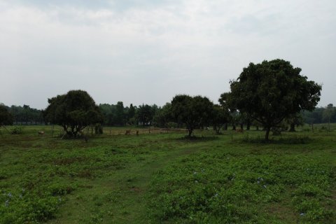 Land en Chiang Mai, Thailand No. 98161 3