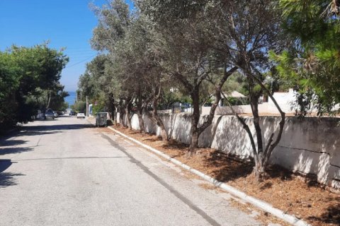 755m² Land en Saronida, Greece No. 107565 10