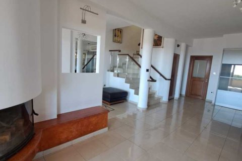 5 bedrooms House in Limassol, Cyprus No. 81643 6