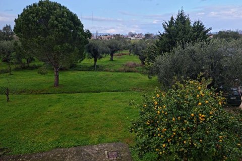 7 bedrooms House in Zakynthos, Greece No. 24671 18