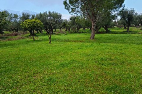 7 bedrooms House in Zakynthos, Greece No. 24671 20