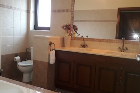 Дом с 4 комнатами в Эвбея, Греция №55787 19