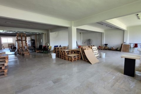 385m² Commercial property en Thessaloniki, Greece No. 107517 14