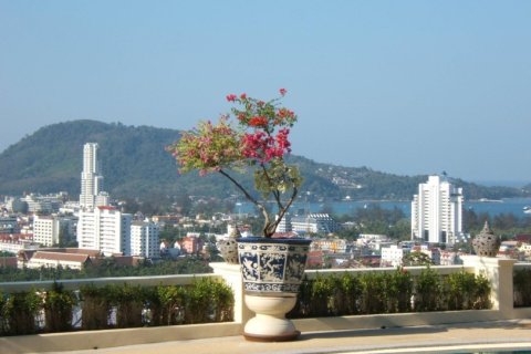 24 bedrooms Hotel in Patong, Thailand No. 95856 19