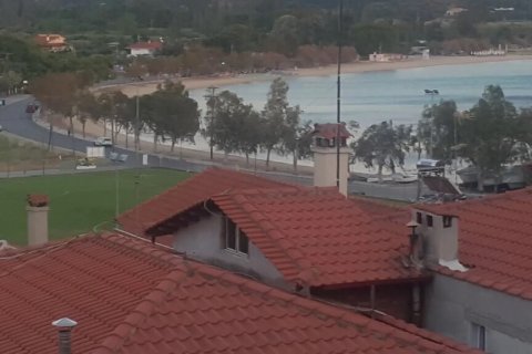 175m² Business in Chalkidiki, Greece No. 107926 19