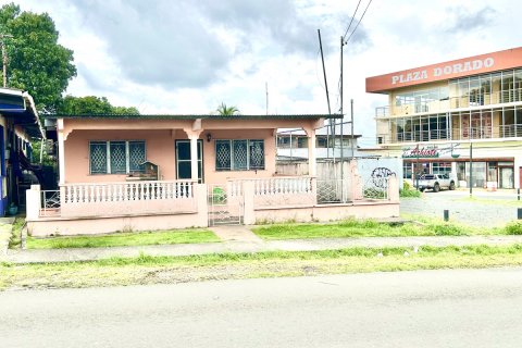 753m² Land in La Chorrera, Panama No. 116826 6