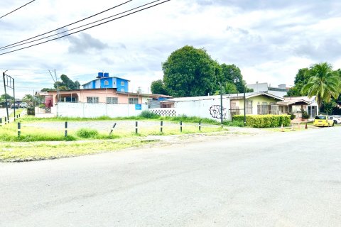 753m² Land in La Chorrera, Panama No. 116826 8
