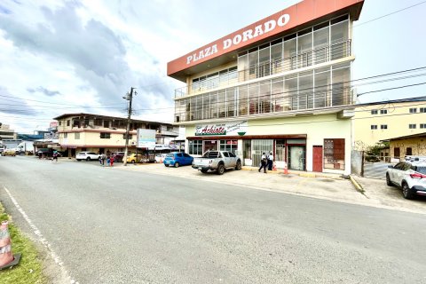 753m² Land in La Chorrera, Panama No. 116826 7