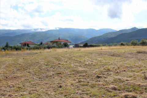 10300m² Land in Pieria, Greece No. 56908 3