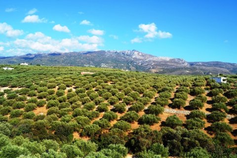 3 dormitorios House en Sitia, Greece No. 57988 9