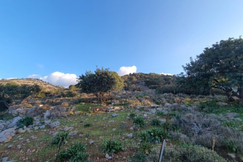 2 rooms Land in Malia, Greece No. 109483 2