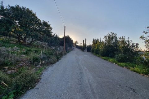 2 rooms Land in Malia, Greece No. 109483 4