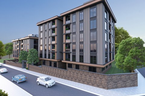 Квартира с 2 спальнями в Стамбул, Турция №12984