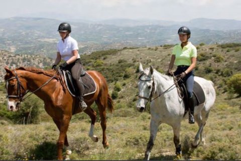 4 bedrooms Villa in Tsada, Cyprus No. 72074 15