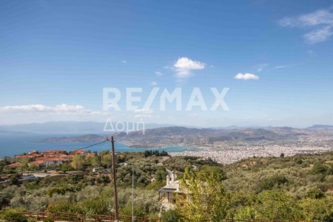 2 bedrooms House in Magnesia, Greece No. 64926 21