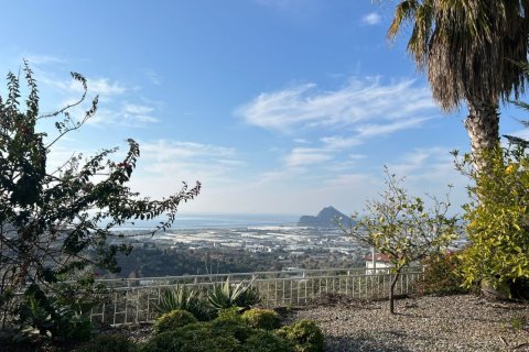 3 rooms Villa à Lam Cot, Vietnam No. 86094 23