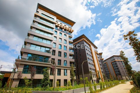 5 bedrooms Apartment in Chau Doc, Vietnam No. 20840 4