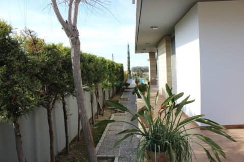 4 bedrooms Villa in Paphos, Cyprus No. 105525 6