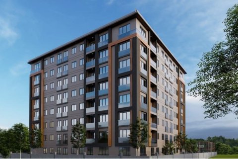 3 dormitorios  en Hong Bang, Vietnam No. 13643 1