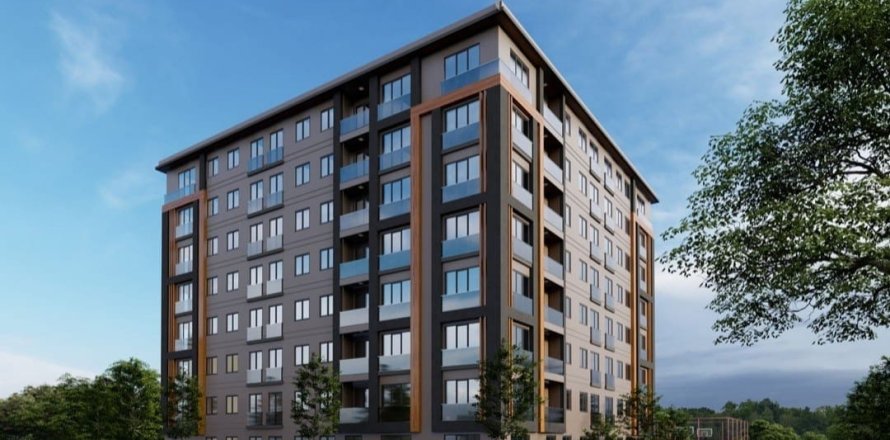 3 dormitorios  en Hong Bang, Vietnam No. 13643