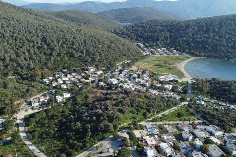 3 chambres Villa à Duong Duc, Vietnam No. 11067 4