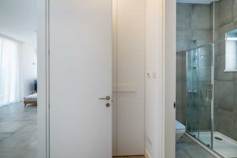 Вилла с 4 спальнями в Пейя, Кипр №66128 10