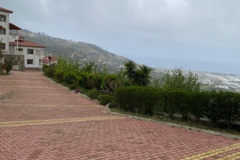 5 dormitorios Villa en Lam Cot, Vietnam No. 13734 15