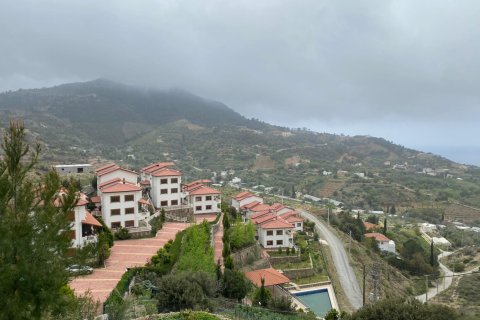 5 dormitorios Villa en Lam Cot, Vietnam No. 13734 25