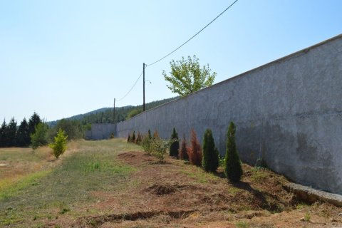 4 bedrooms House in Mygdonia, Greece No. 55998 24