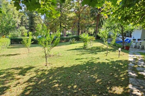 2 bedrooms Villa in Chalkidiki, Greece No. 55406 11