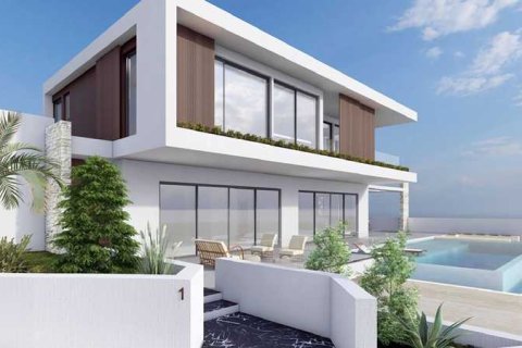 3 bedrooms House in Pegeia, Cyprus No. 100770 3