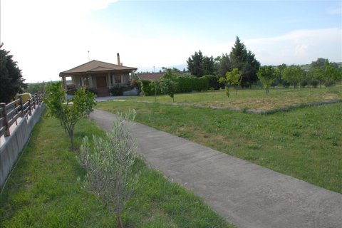 4 chambres House à Agios Athanasios, Greece No. 109628 2