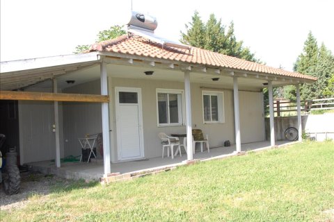 4 chambres House à Agios Athanasios, Greece No. 109628 12