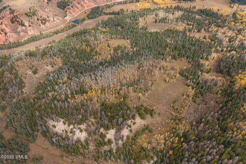 16.12m² Land in Gypsum, USA No. 104562 16