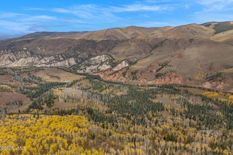 16.12m² Land in Gypsum, USA No. 104562 18