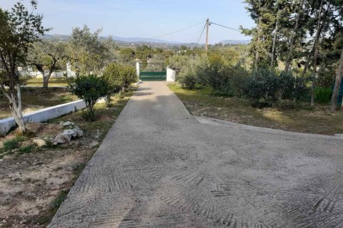 5 rooms House in Kranidi, Greece No. 55757 5