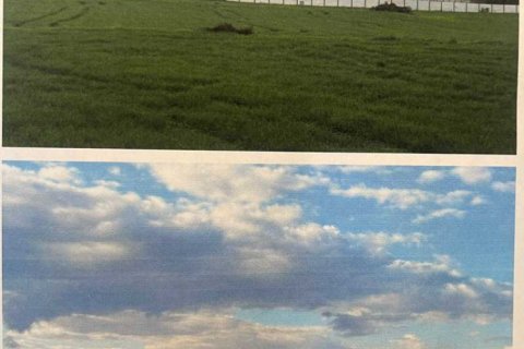 15107m² Land in Dali, Cyprus No. 84614 8