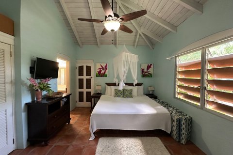 2 bedrooms Villa in Long Bay, Antigua and Barbuda No. 61382 12